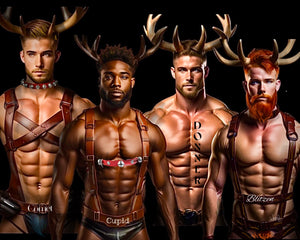 3pc Set of Canvas Prints,  “Reindears”