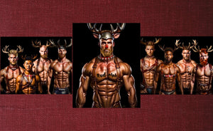 3pc Set of Canvas Prints,  “Reindears”